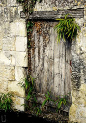 Old door