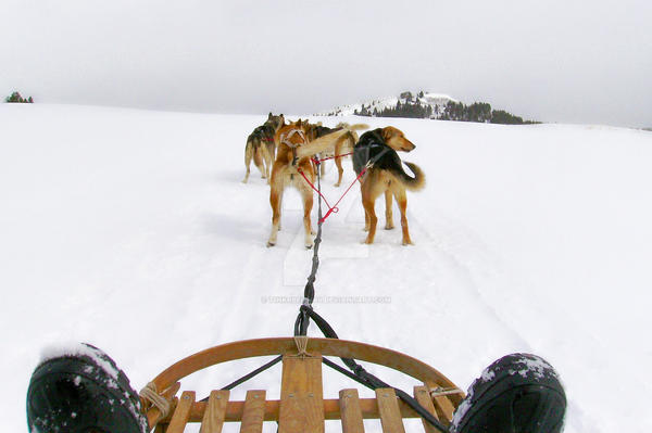 From the Sleds view