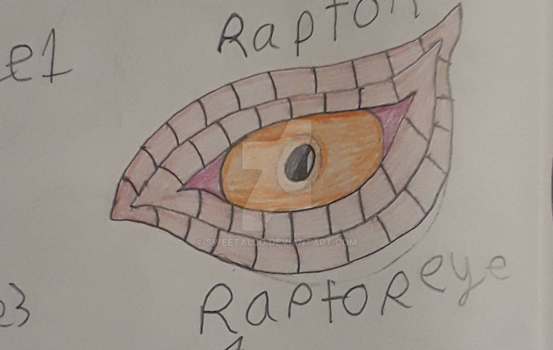 Raptor Eye 4 by sweetallo on DeviantArt