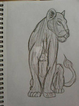 Lion3