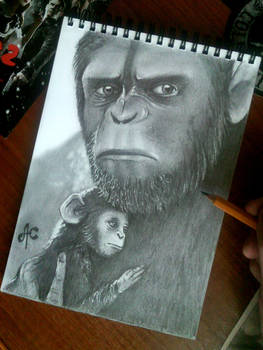 Dawn of the Planet of the Apes