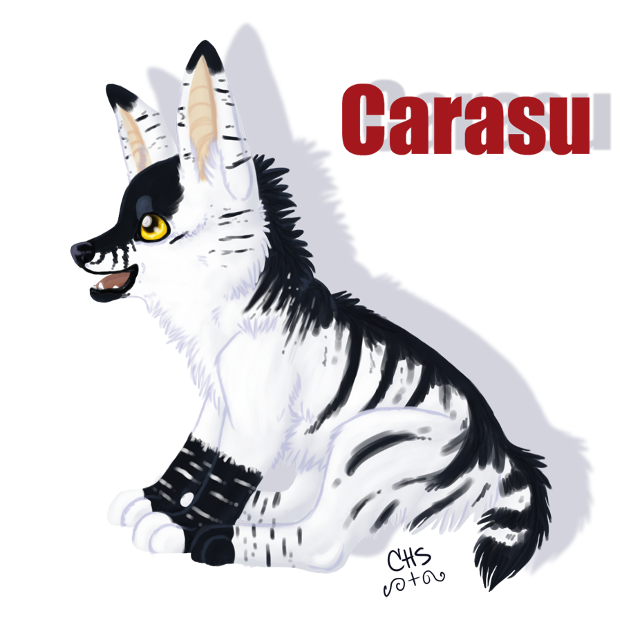 ADORABLE CARASU