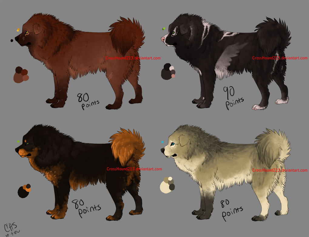 Tibetan mastiff wolf deals mix