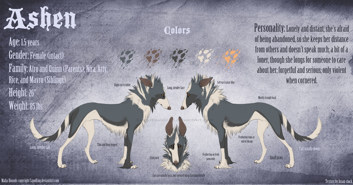 Ash Reference Ash Reference Sheet Tryout by CrossHound213 on DeviantArt