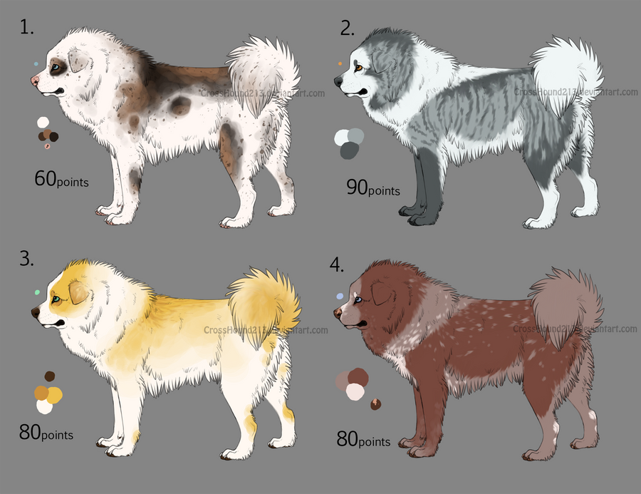 Tibetan Mastiff Adoptables CLOSED