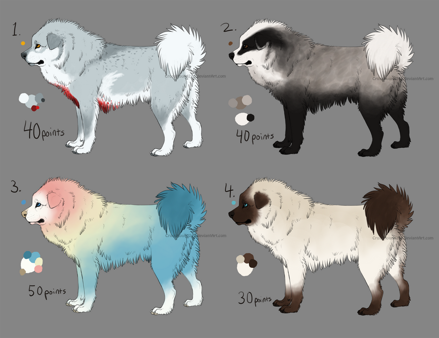 Tibetan mastiff online husky mix