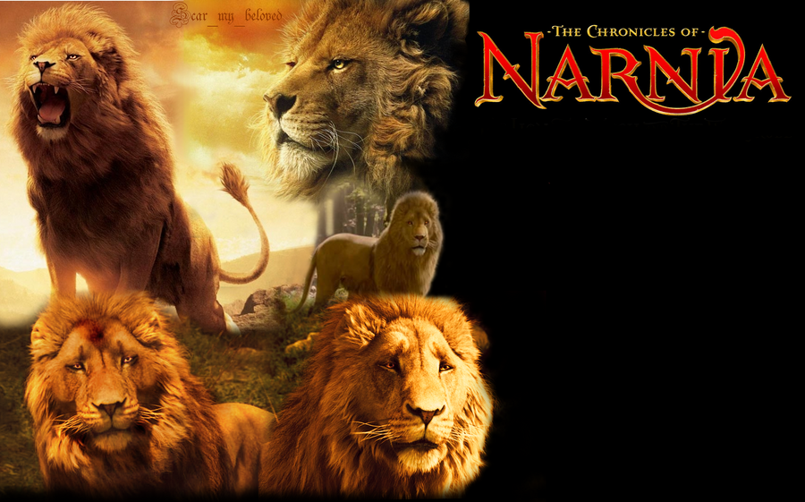 aslan the king of narnia - Aslan wallpaper (20650333) - fanpop