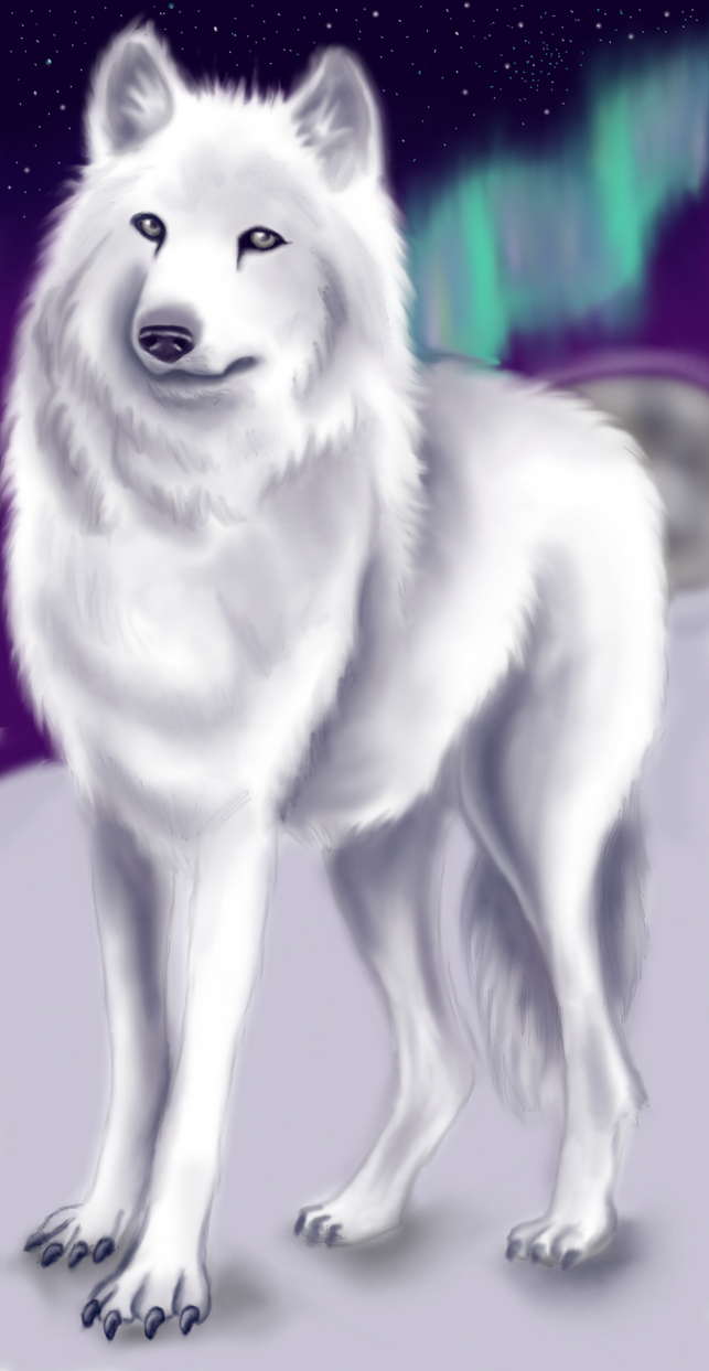 Whitewolf by Witchwoodragon on DeviantArt