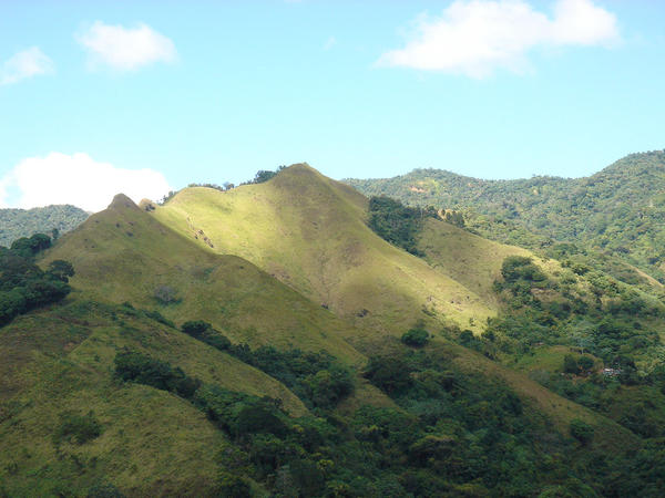 Jagua Pasto 21 by Belokystock on DeviantArt