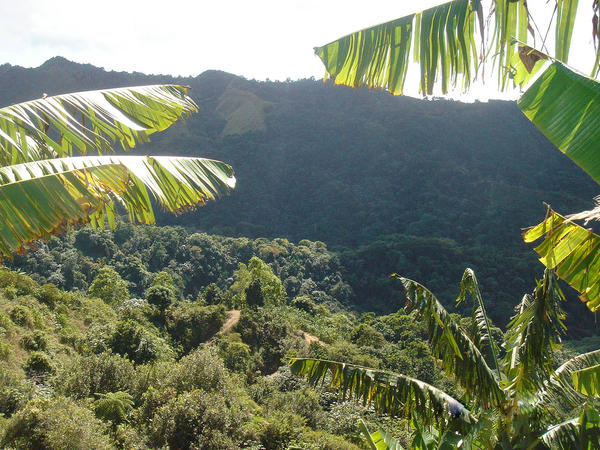 Jagua pasto 28 by Belokystock on DeviantArt