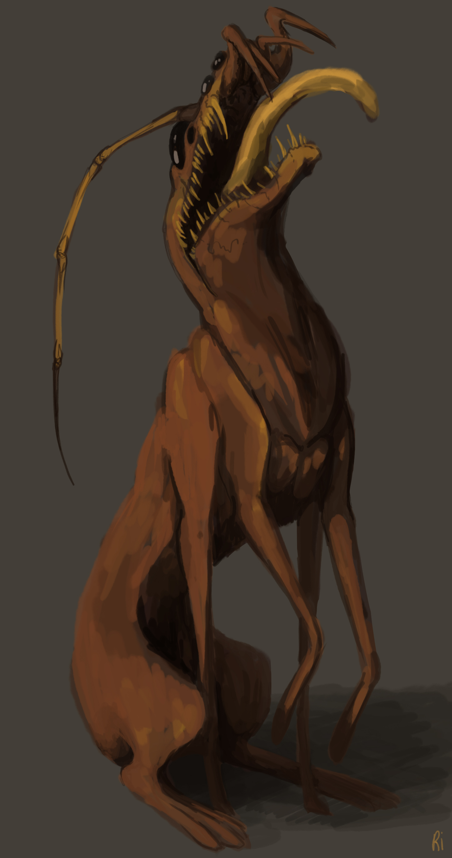 Cockroach by Lizosoma on DeviantArt