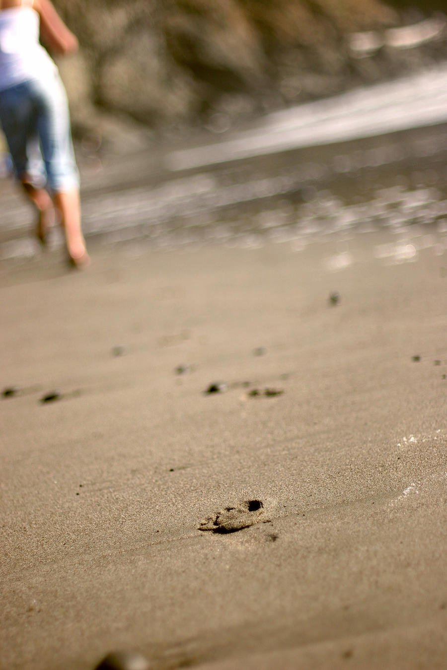 Prints in the Sand