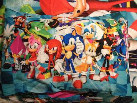 My sonic bed pillow