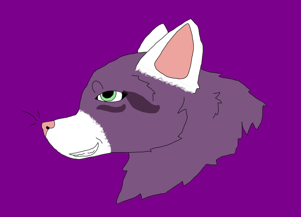 Violetkit Violetkit by Warrior-Cats-Begin on DeviantArt