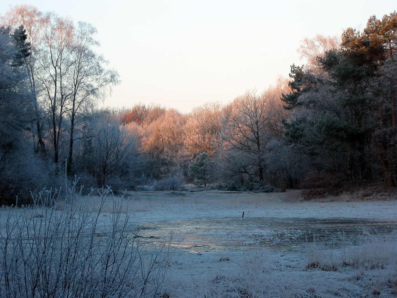 A cold morning