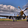 Janie  P-51D Mustang, destroyed in 2016.