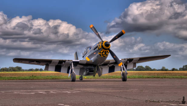 Janie  P-51D Mustang, destroyed in 2016.