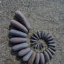 Pebble Spiral 5