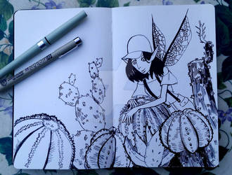 Fairies and cactuses