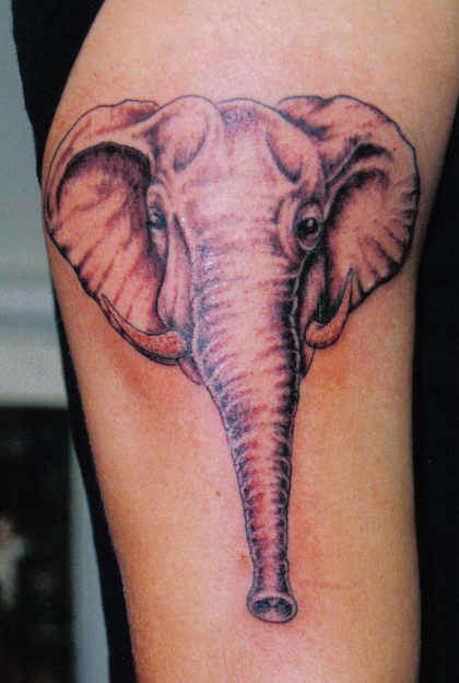 Elephant tattoo.