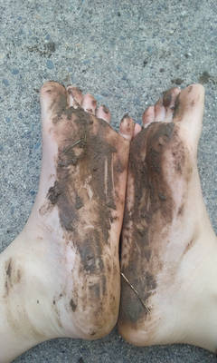 Muddy Feet