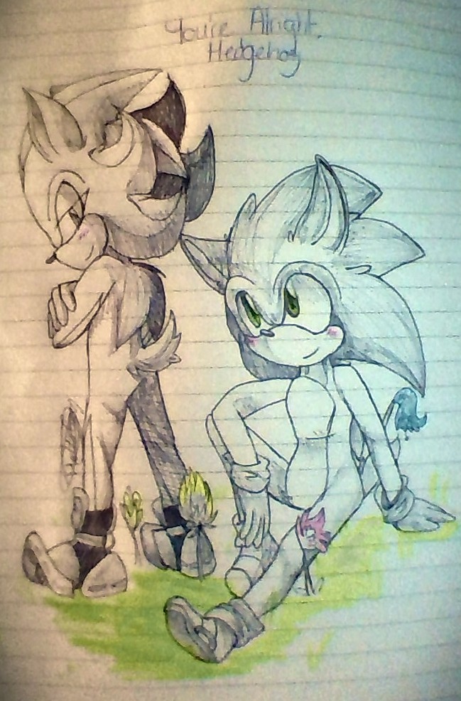 Sonadow .:You're Alright, Hedgehog:.