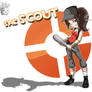 She SCOUT for Alzircon