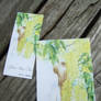 Before the blossom ends postcard and bookmark