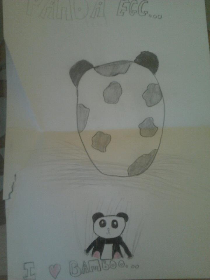 Panda egg