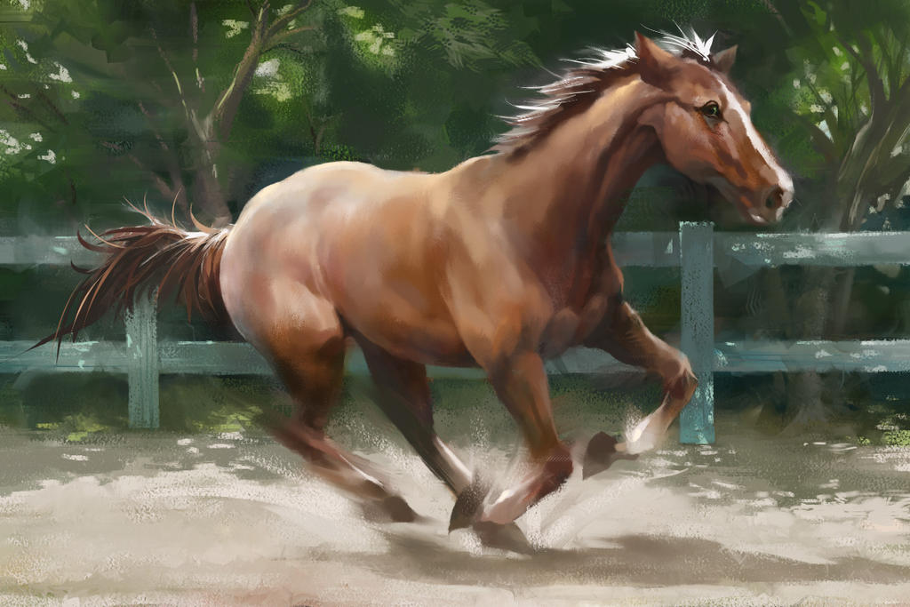 Horse