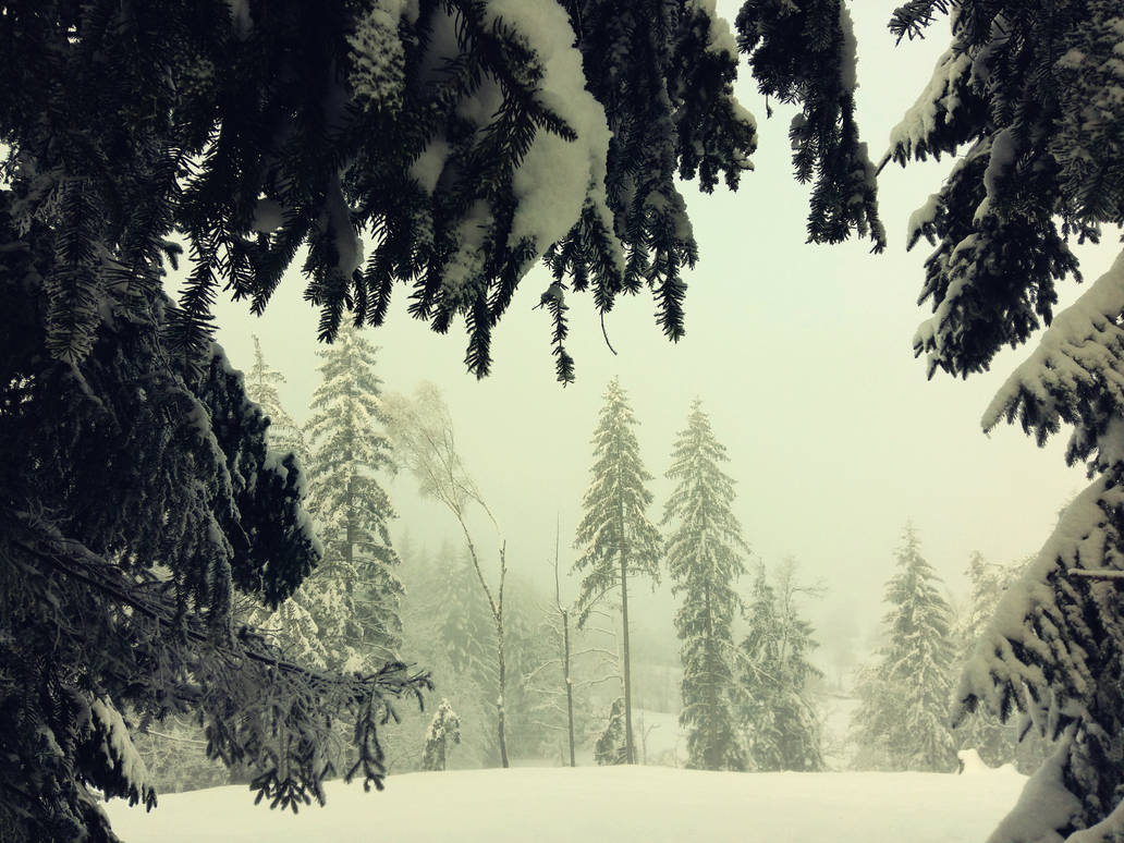 Hard Winter by VBmonkey26 Hard Winter by VBmonkey26