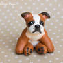 Oscar the Bulldog sculpture commission