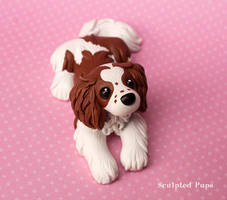Piper the Cavalier King Charles Spaniel commission