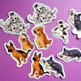 Puppy stickers!