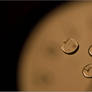 A Drop Of Time