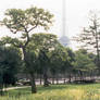 I Love Paris In The Springtime