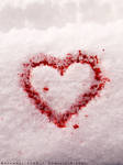 bloody heart by dkraner