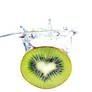 fresh kiwi fruit