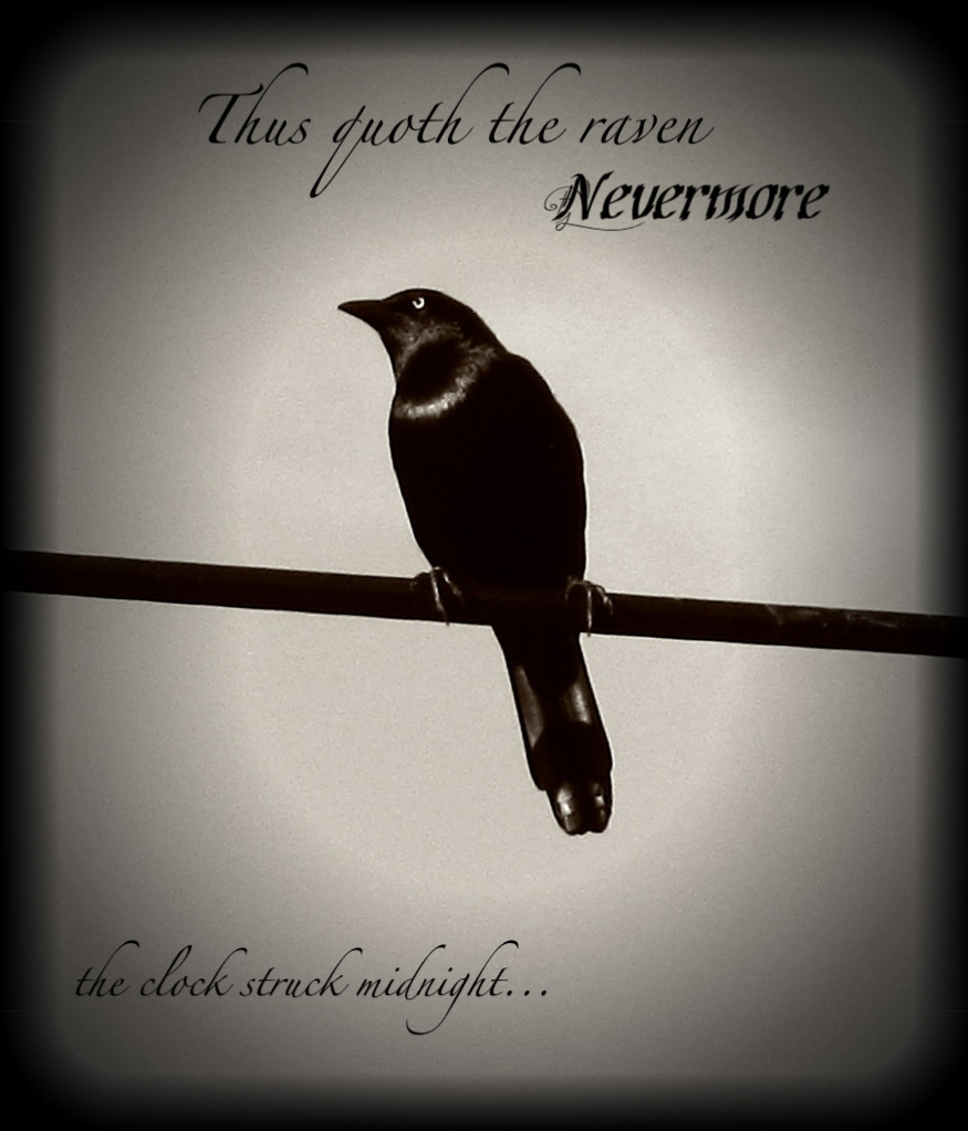 Thus Quoth The Raven