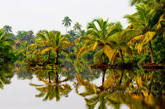 God's Own Country - Kerala