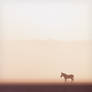 dust storm