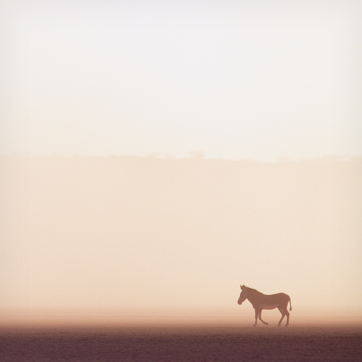 dust storm