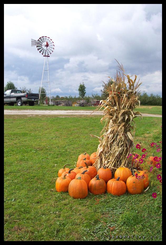 Harvest