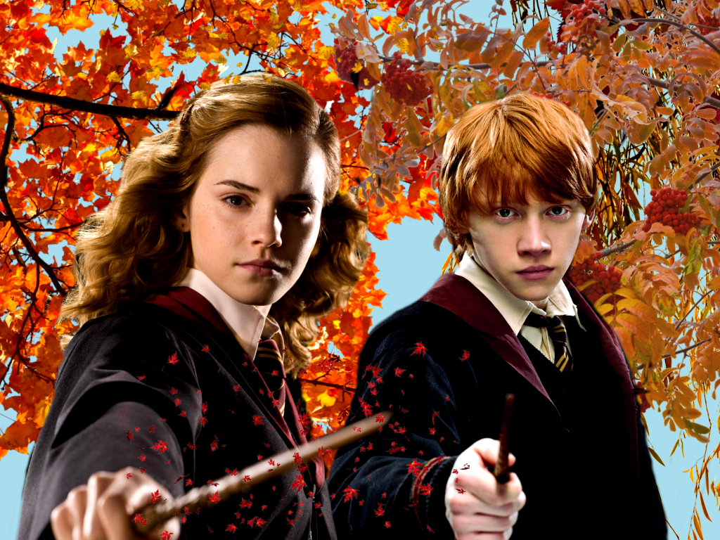 Hermione and Ron