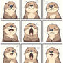 How many emotions you go through a day?
