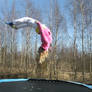 Stock: Trampoline 2