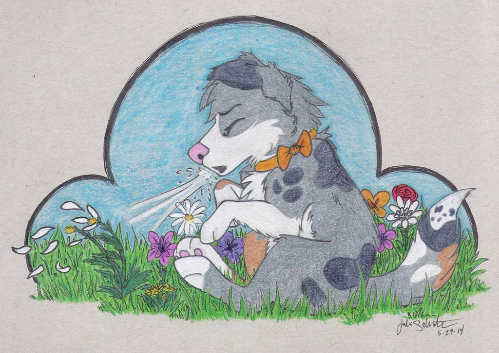 Commission- ACHOO! by JulieSchuster