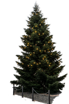 Weihnachtsbaum by Stille-Wasser Weihnachtsbaum by Stille-Wasser