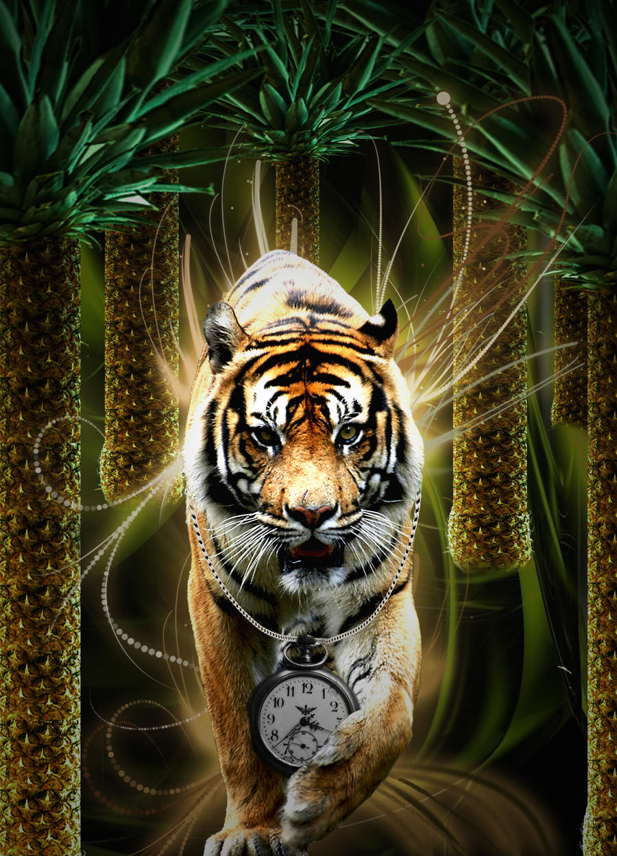 Time Warp Tiger