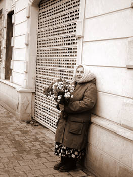 Lviv street